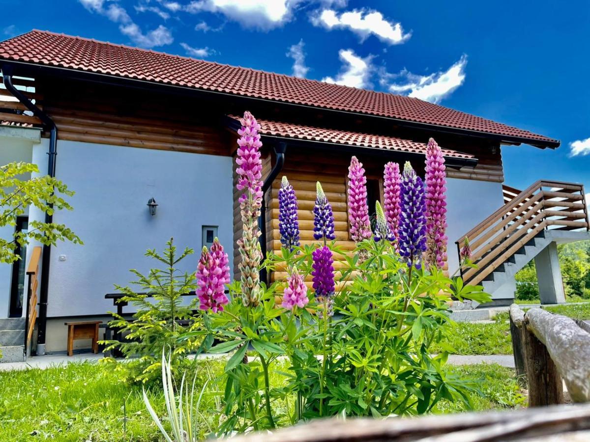 Studio Apartmani Patricia Смолянац Экстерьер фото